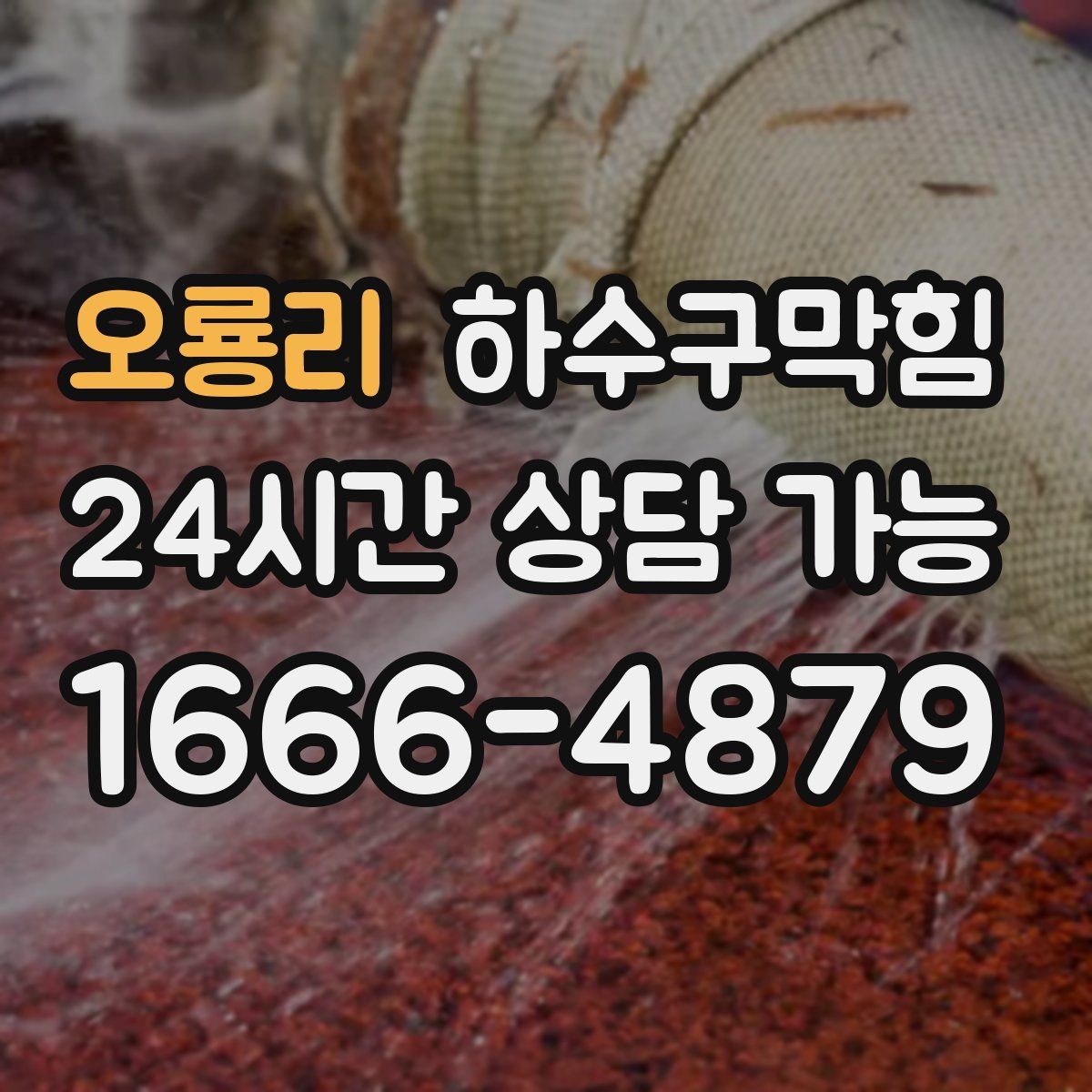 오룡리 하수구막힘