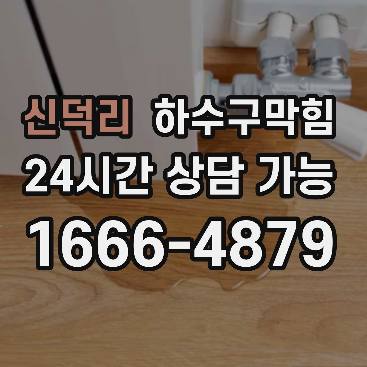 신덕리 하수구막힘