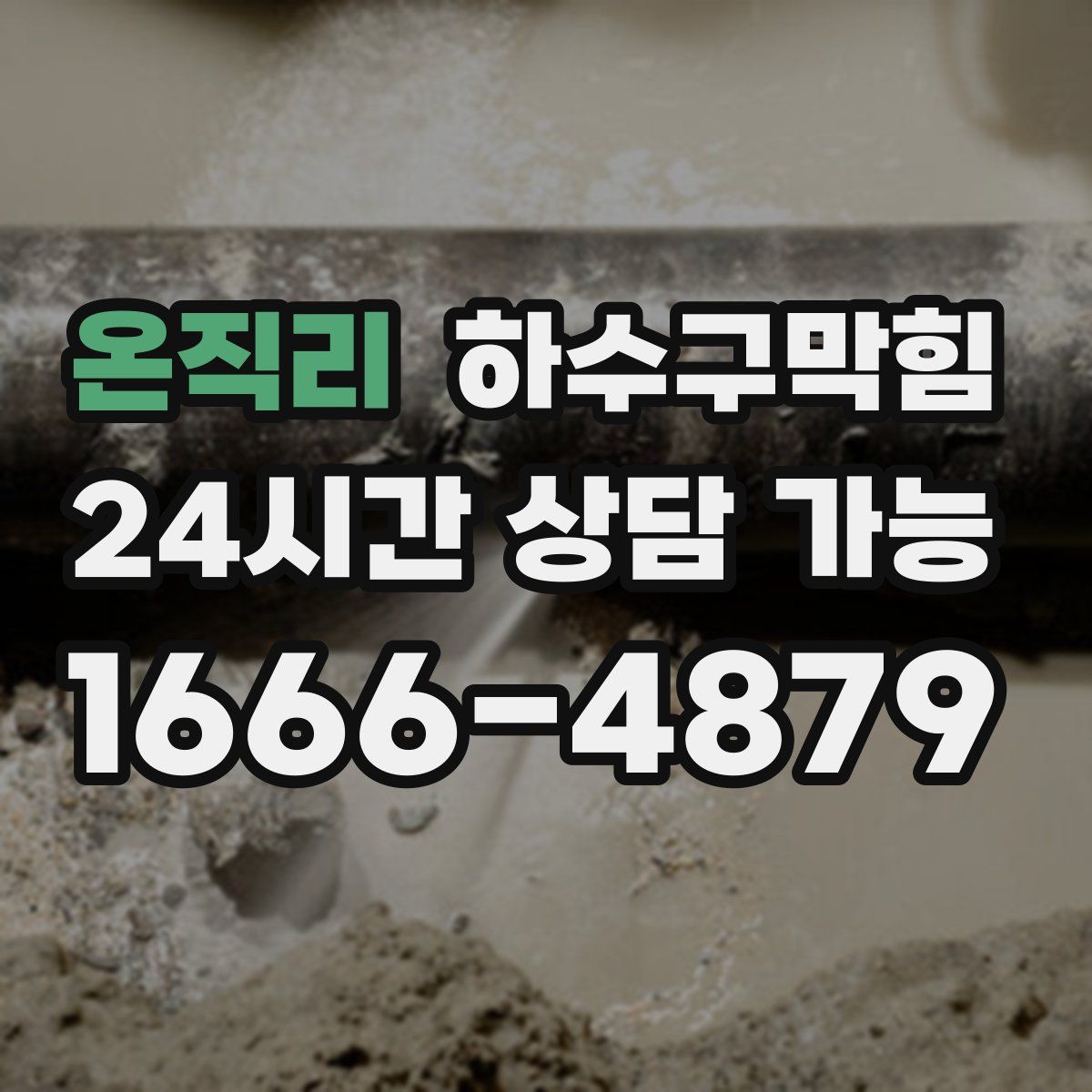 온직리 하수구막힘