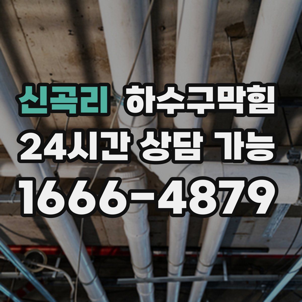 신곡리 하수구막힘