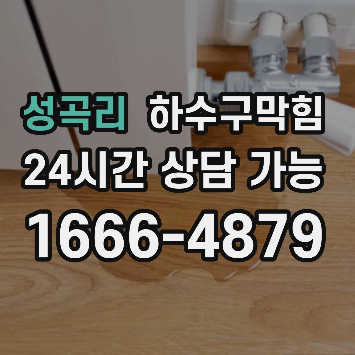 성곡리 하수구막힘