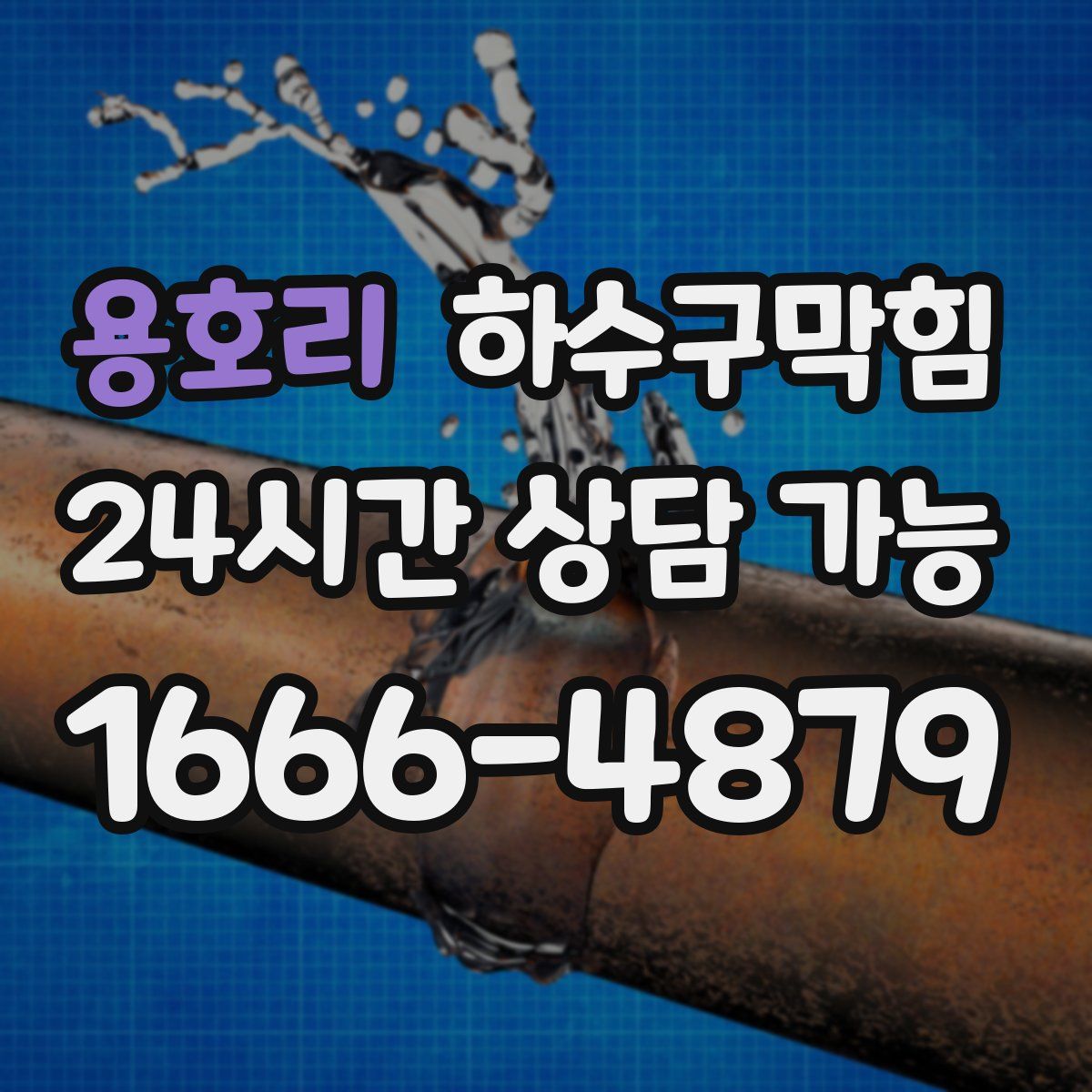 용호리 하수구막힘