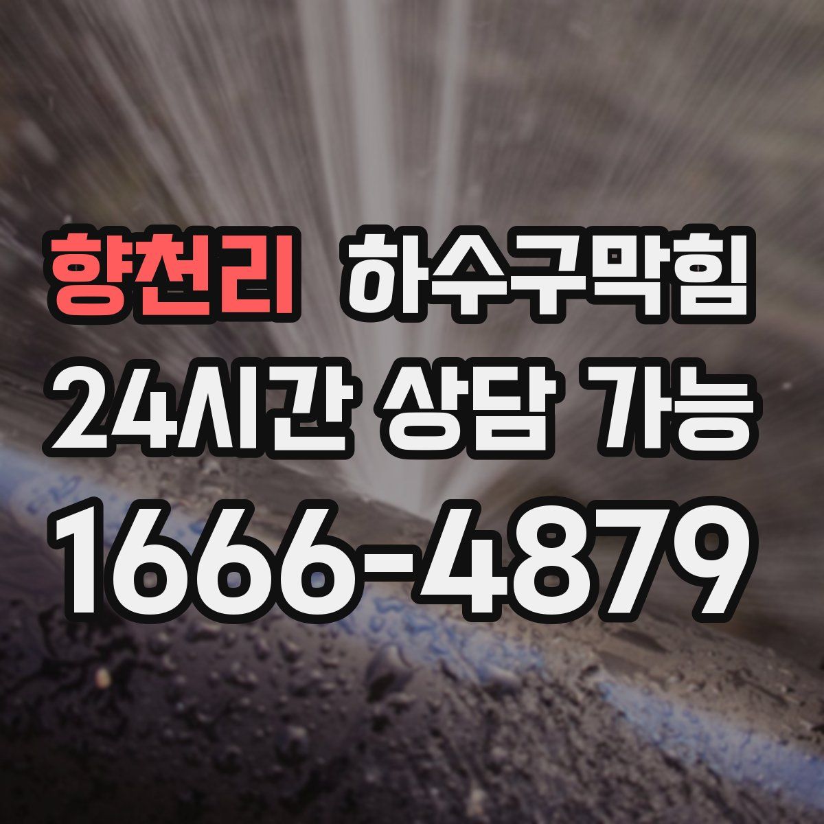 향천리 하수구막힘