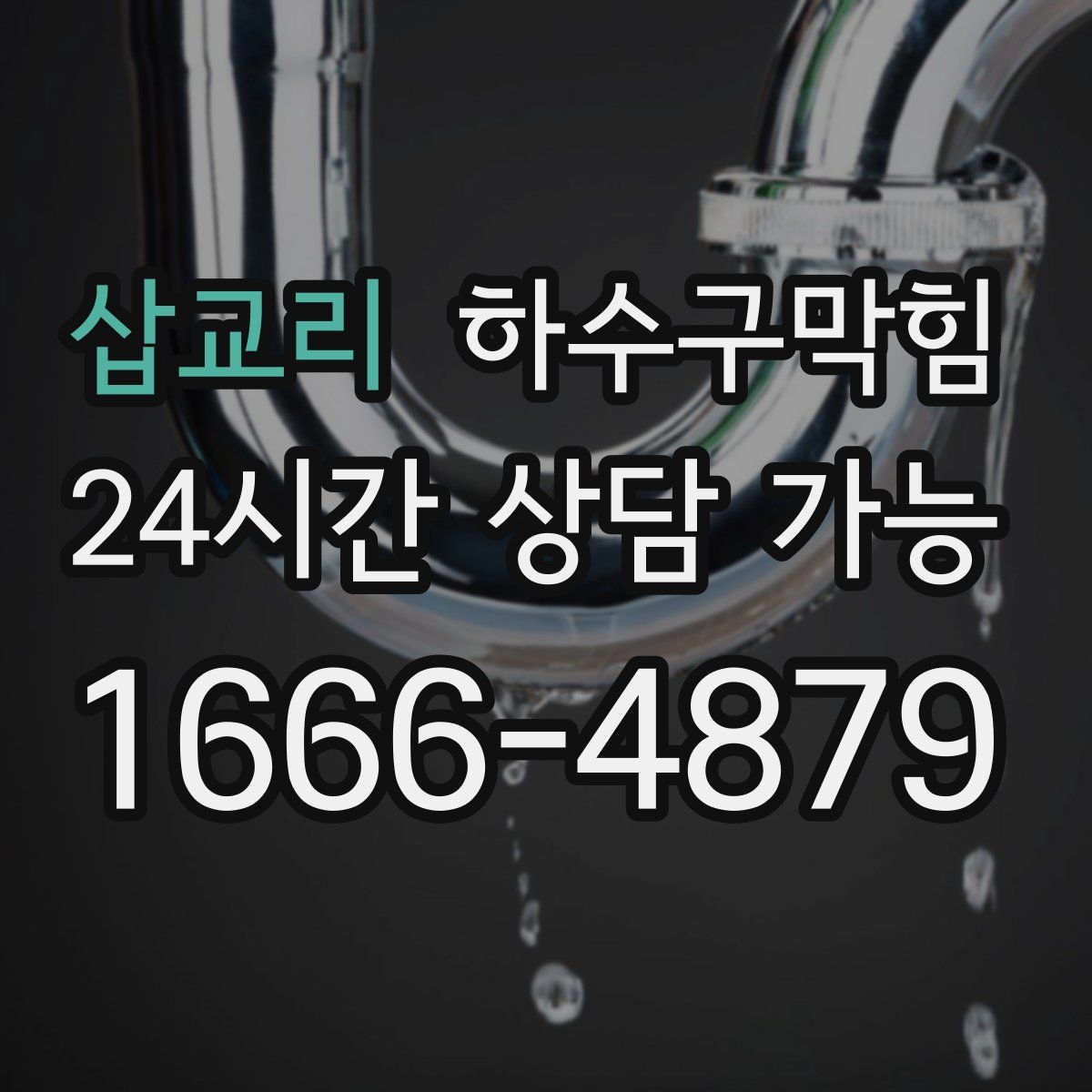 삽교리 하수구막힘