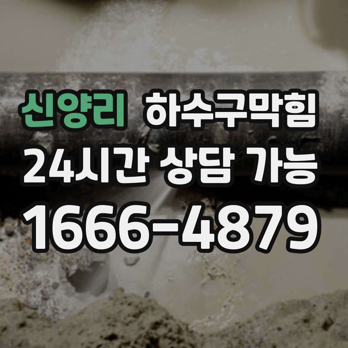 신양리 하수구막힘