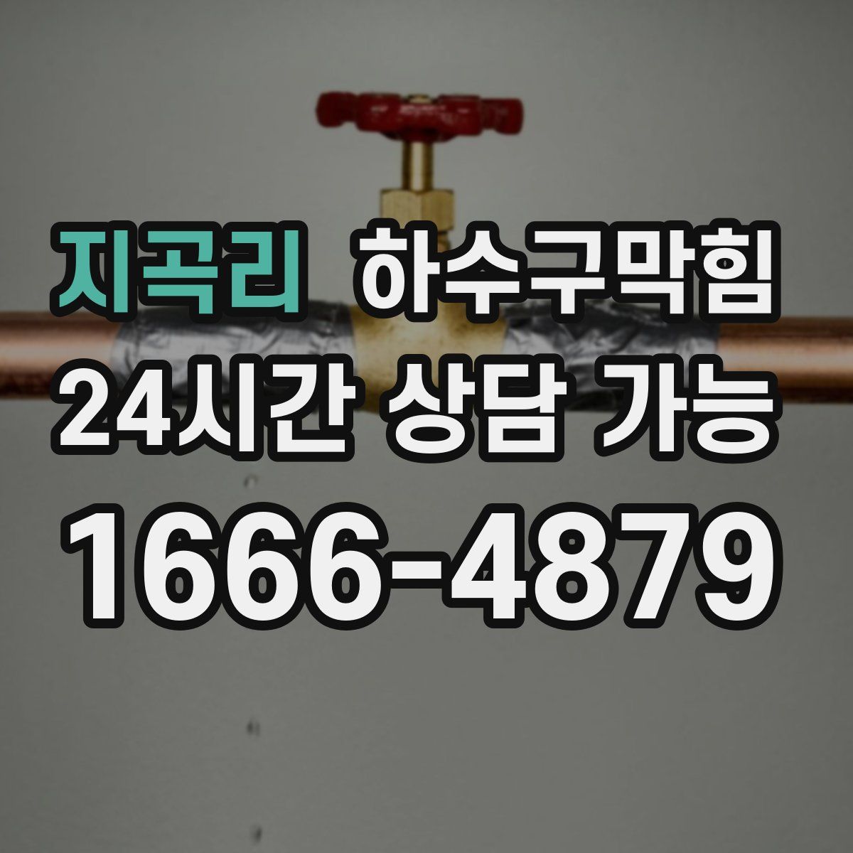 지곡리 하수구막힘