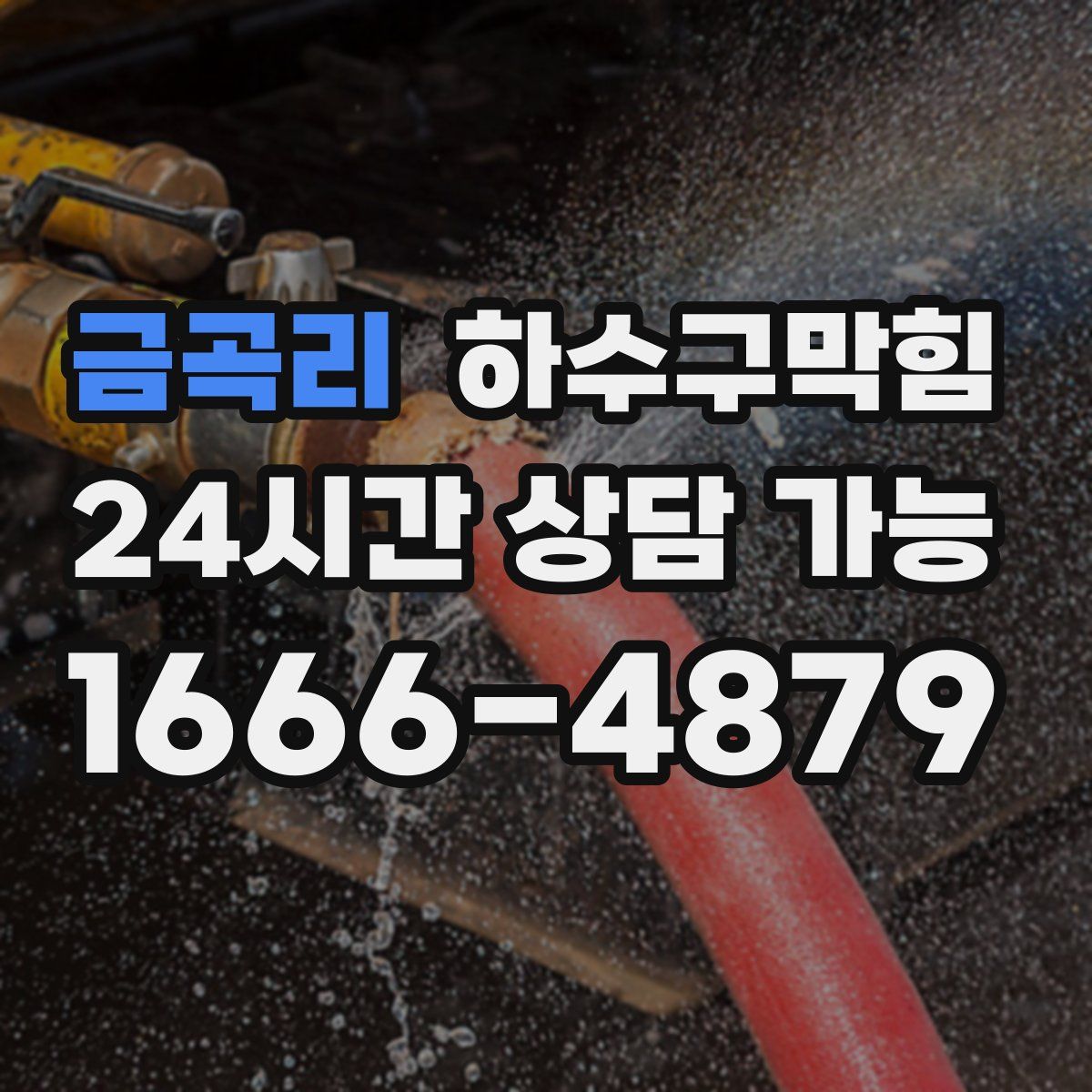 금곡리 하수구막힘