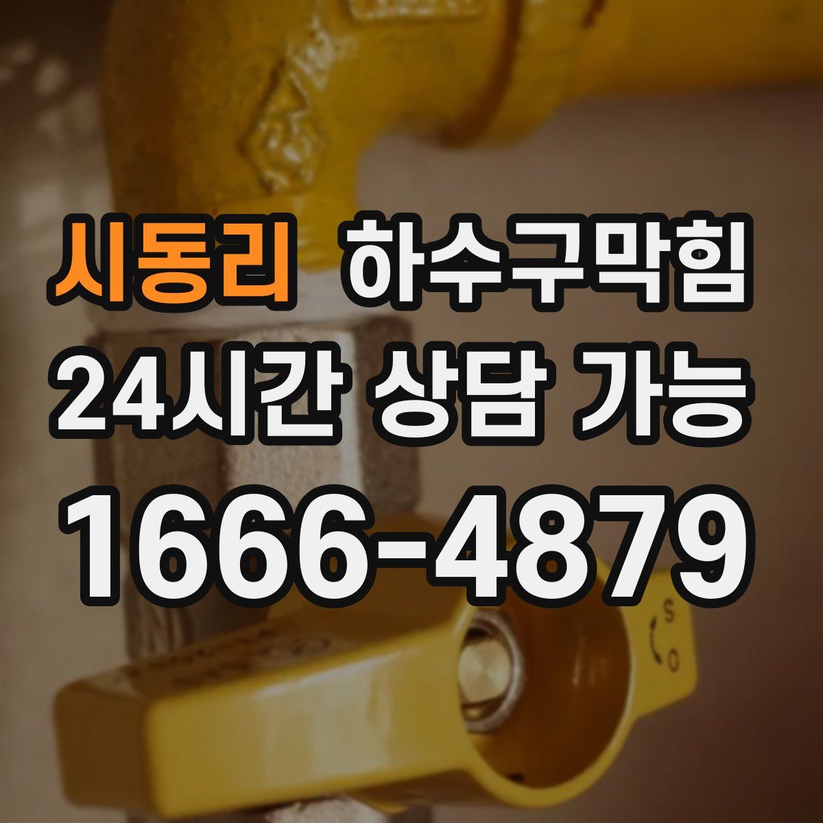 시동리 하수구막힘