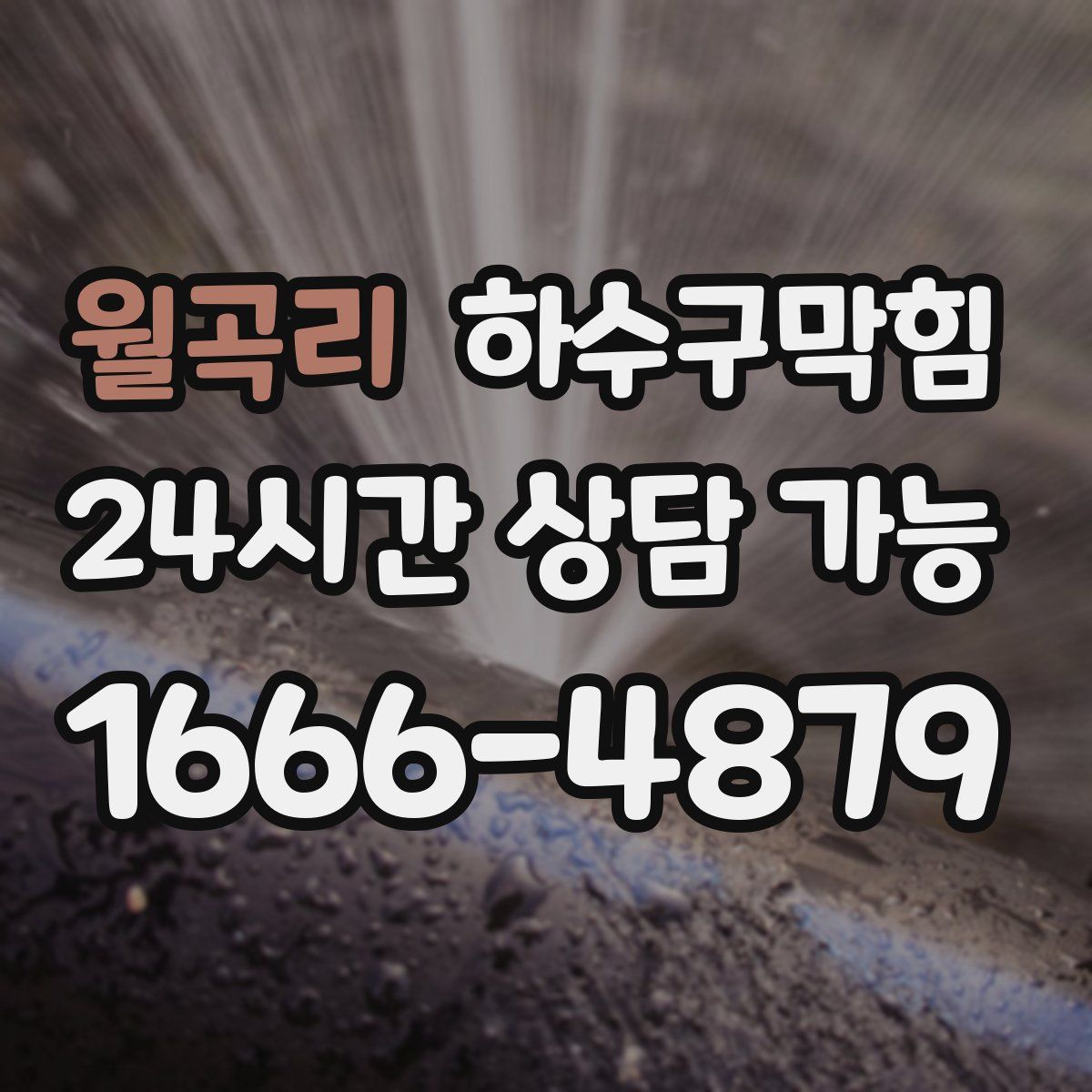 월곡리 하수구막힘