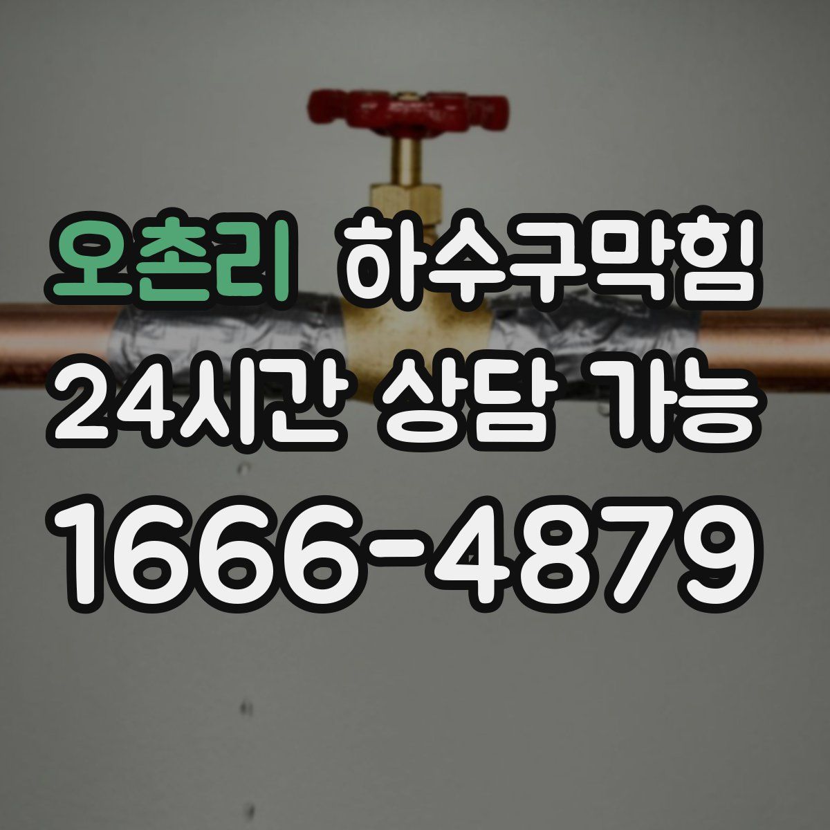 오촌리 하수구막힘