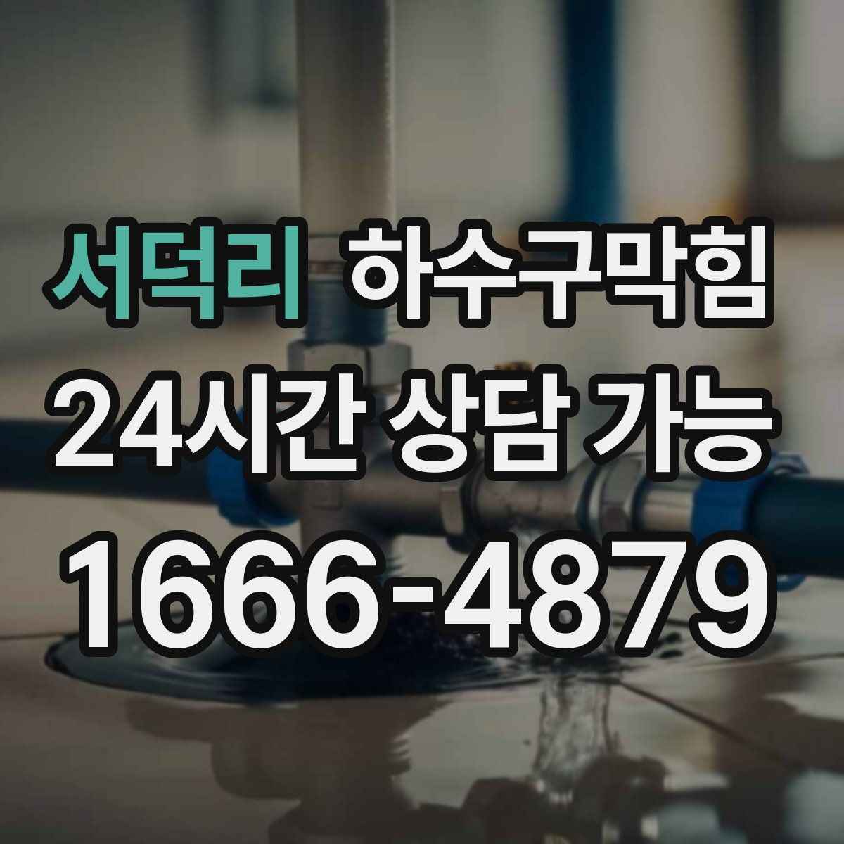 서덕리 하수구막힘