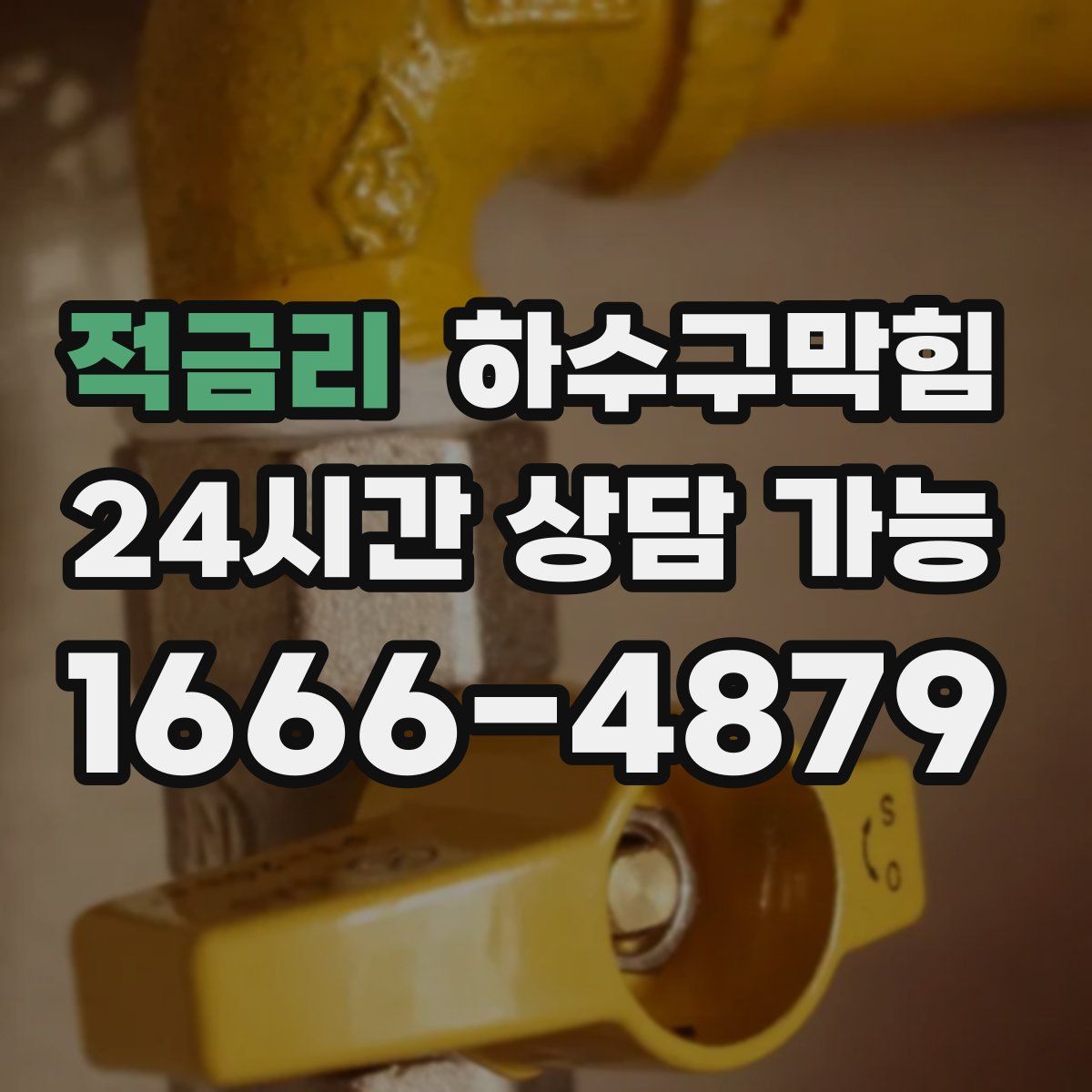 적금리 하수구막힘