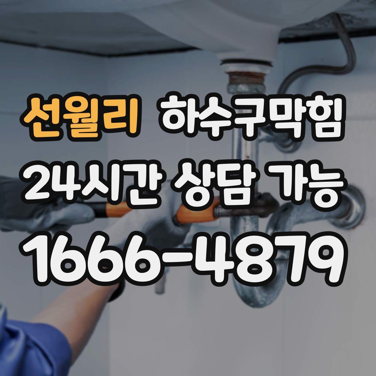 선월리 하수구막힘