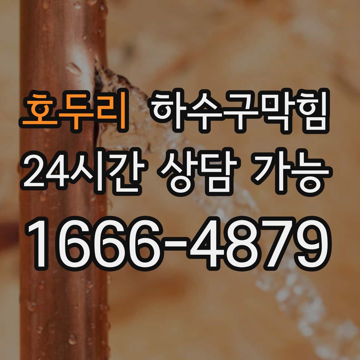 호두리 하수구막힘