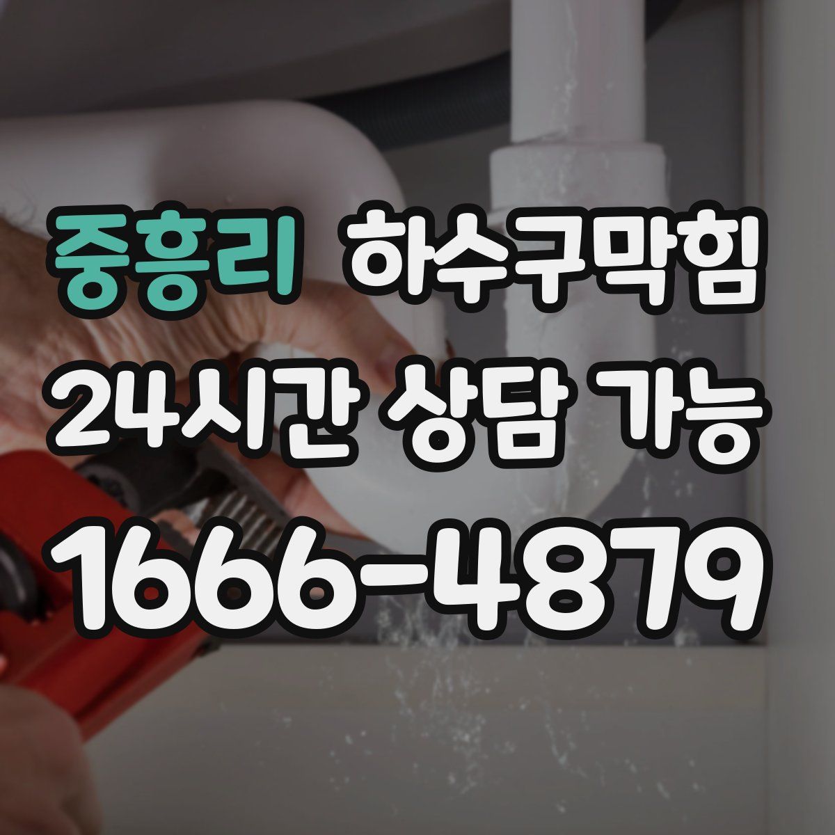 중흥리 하수구막힘