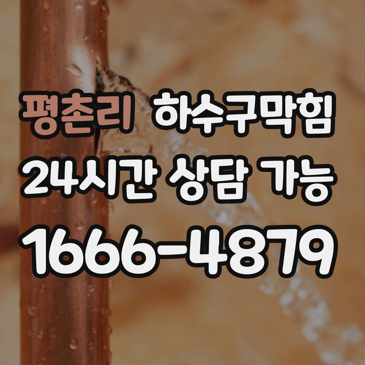 평촌리 하수구막힘