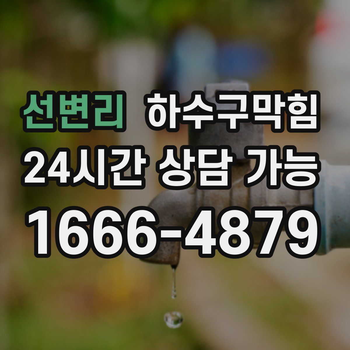 선변리 하수구막힘