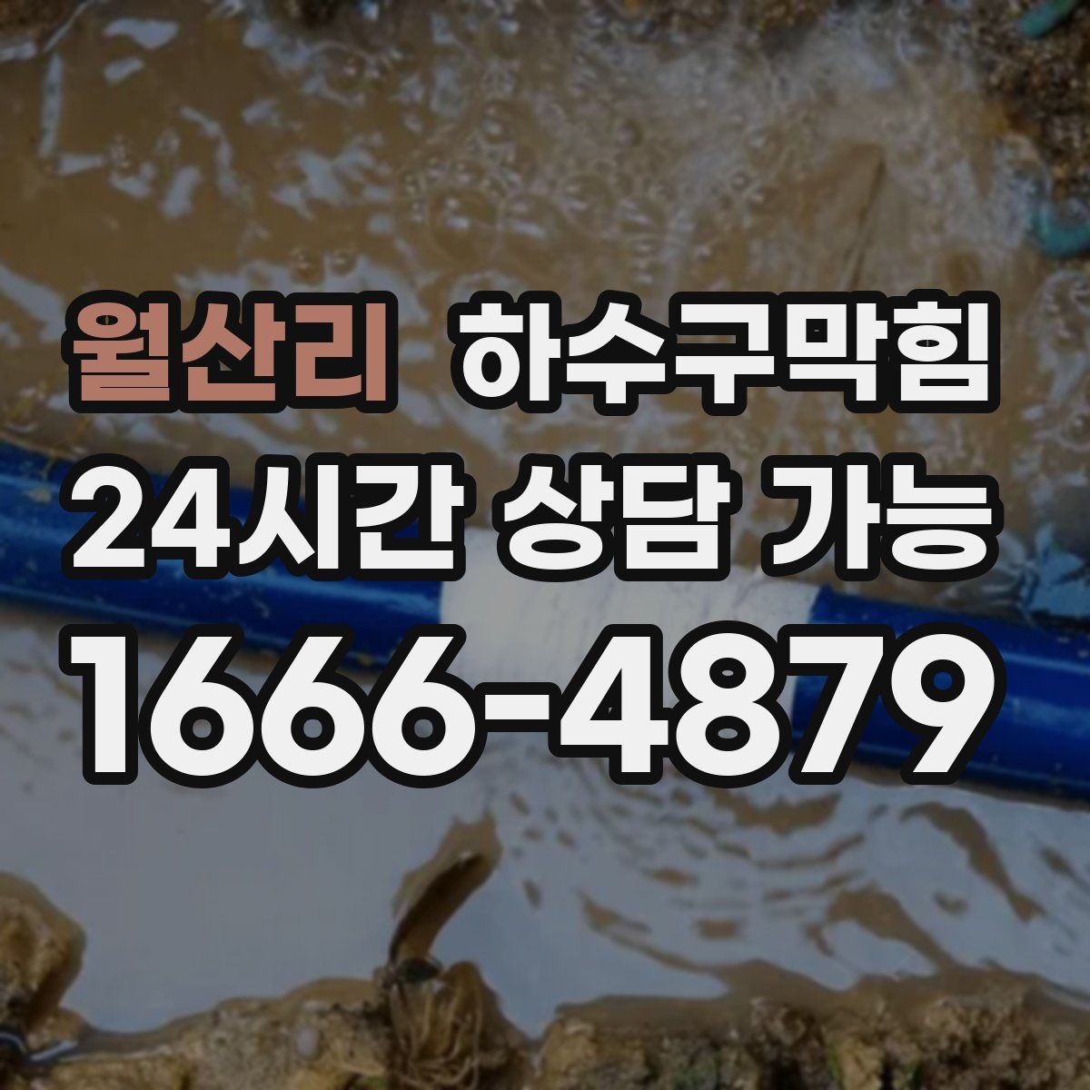 월산리 하수구막힘