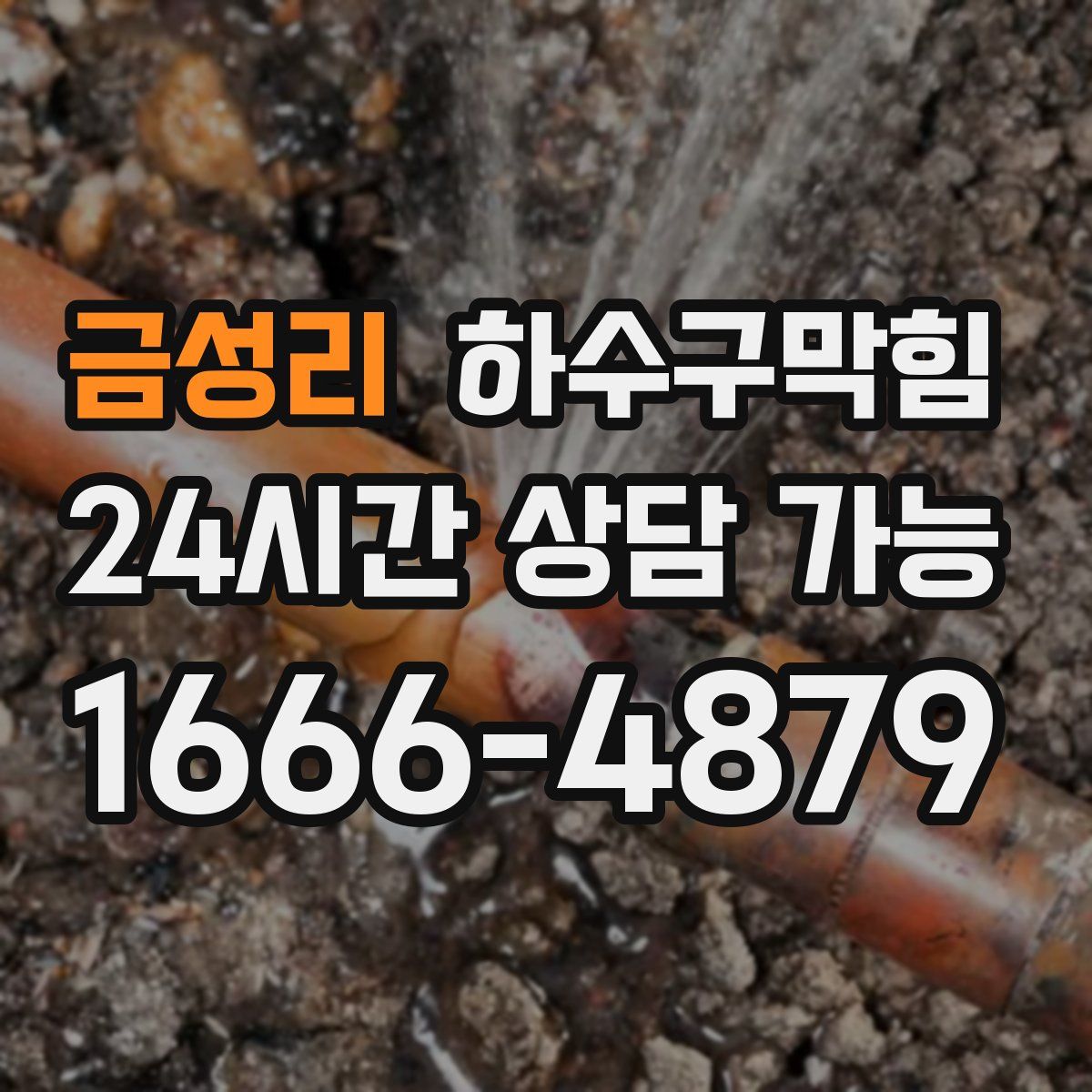 금성리 하수구막힘