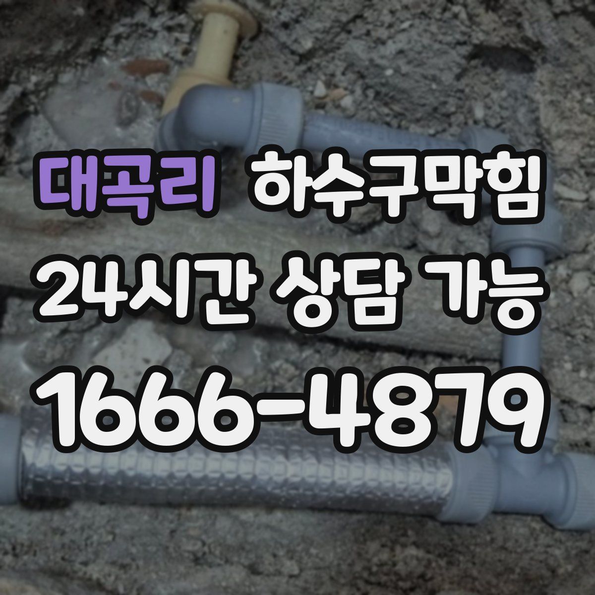 대곡리 하수구막힘