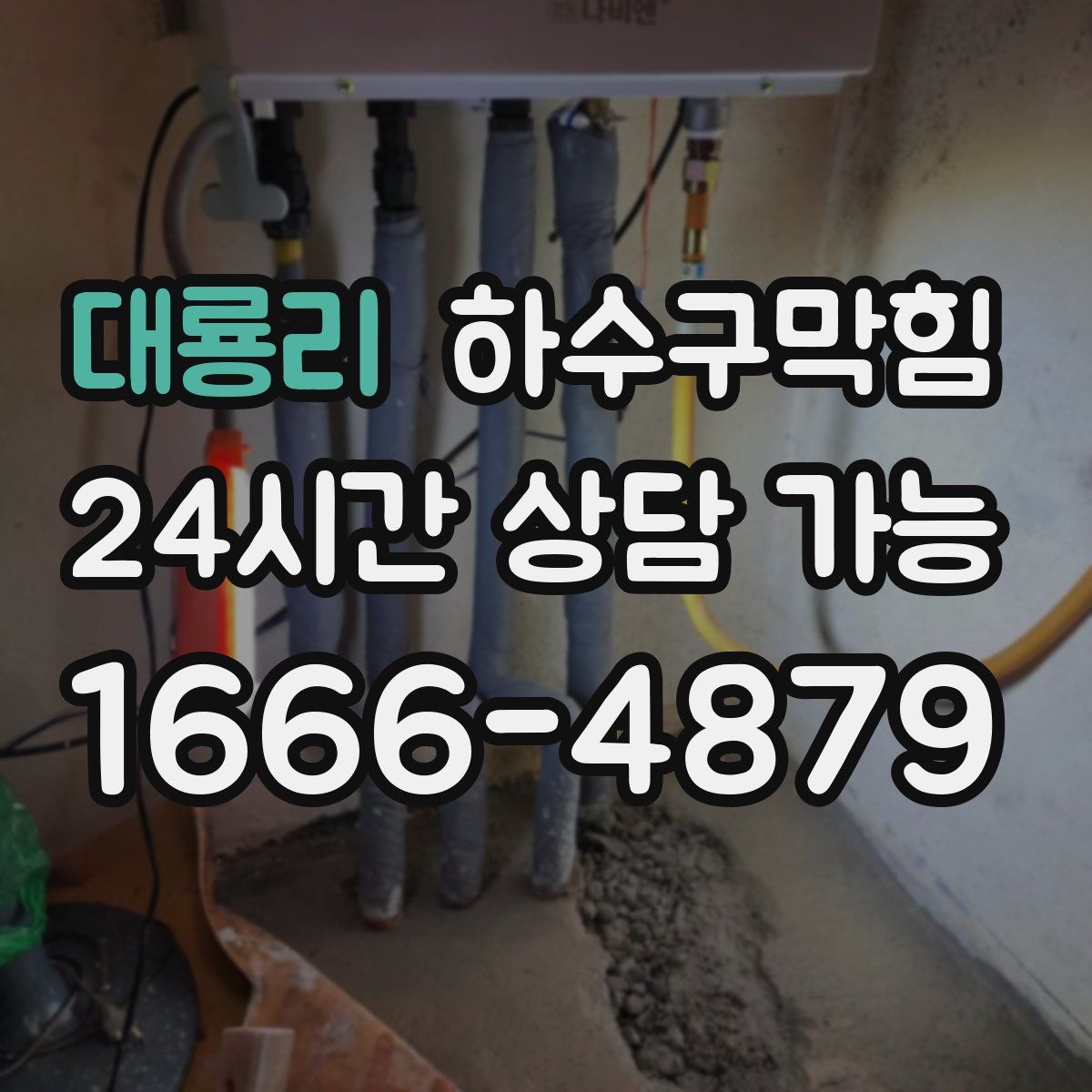 대룡리 하수구막힘