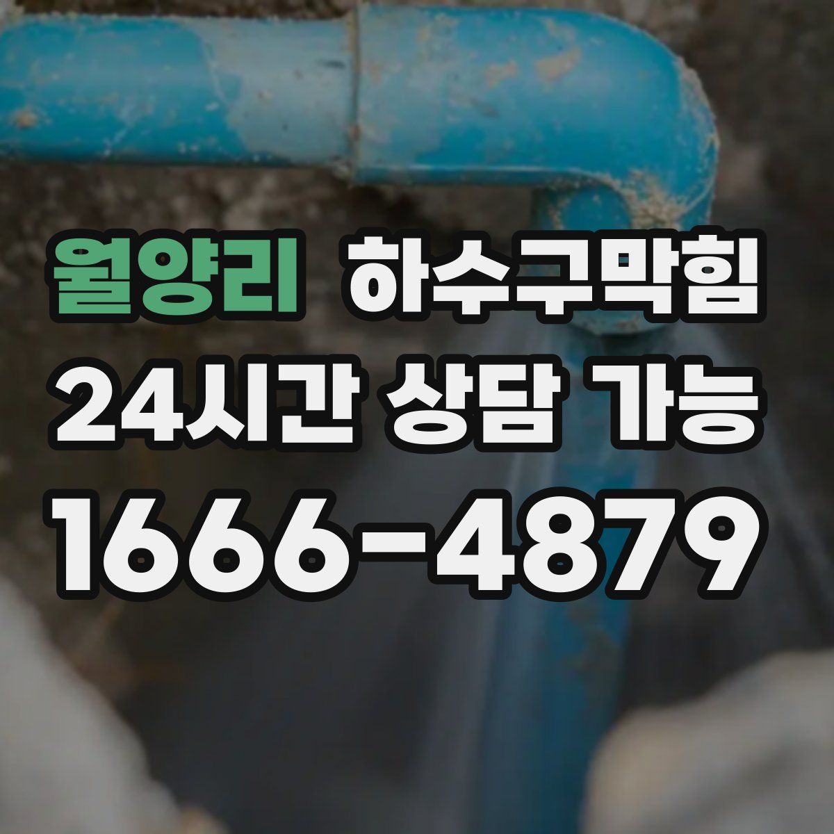 월양리 하수구막힘