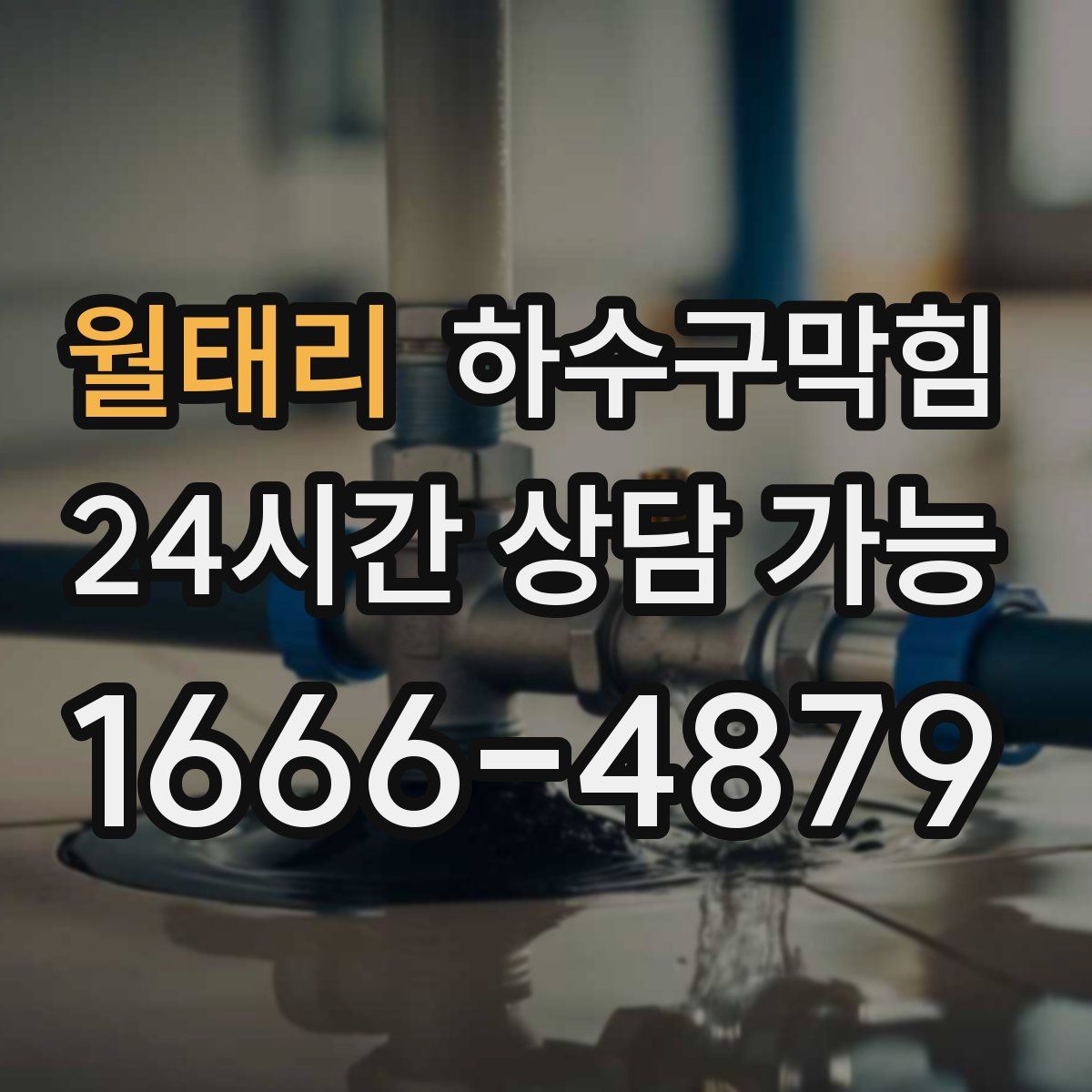 월태리 하수구막힘