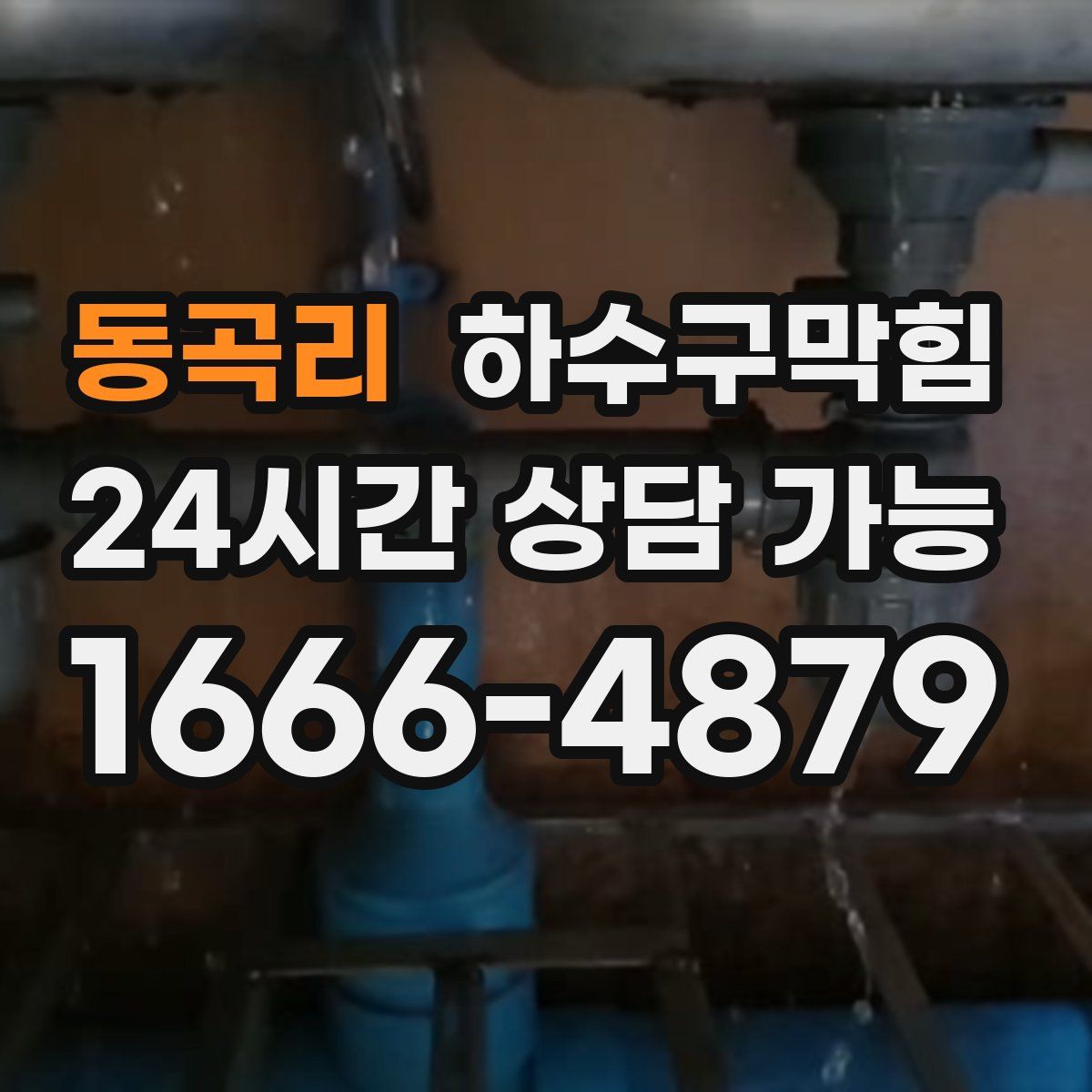 동곡리 하수구막힘