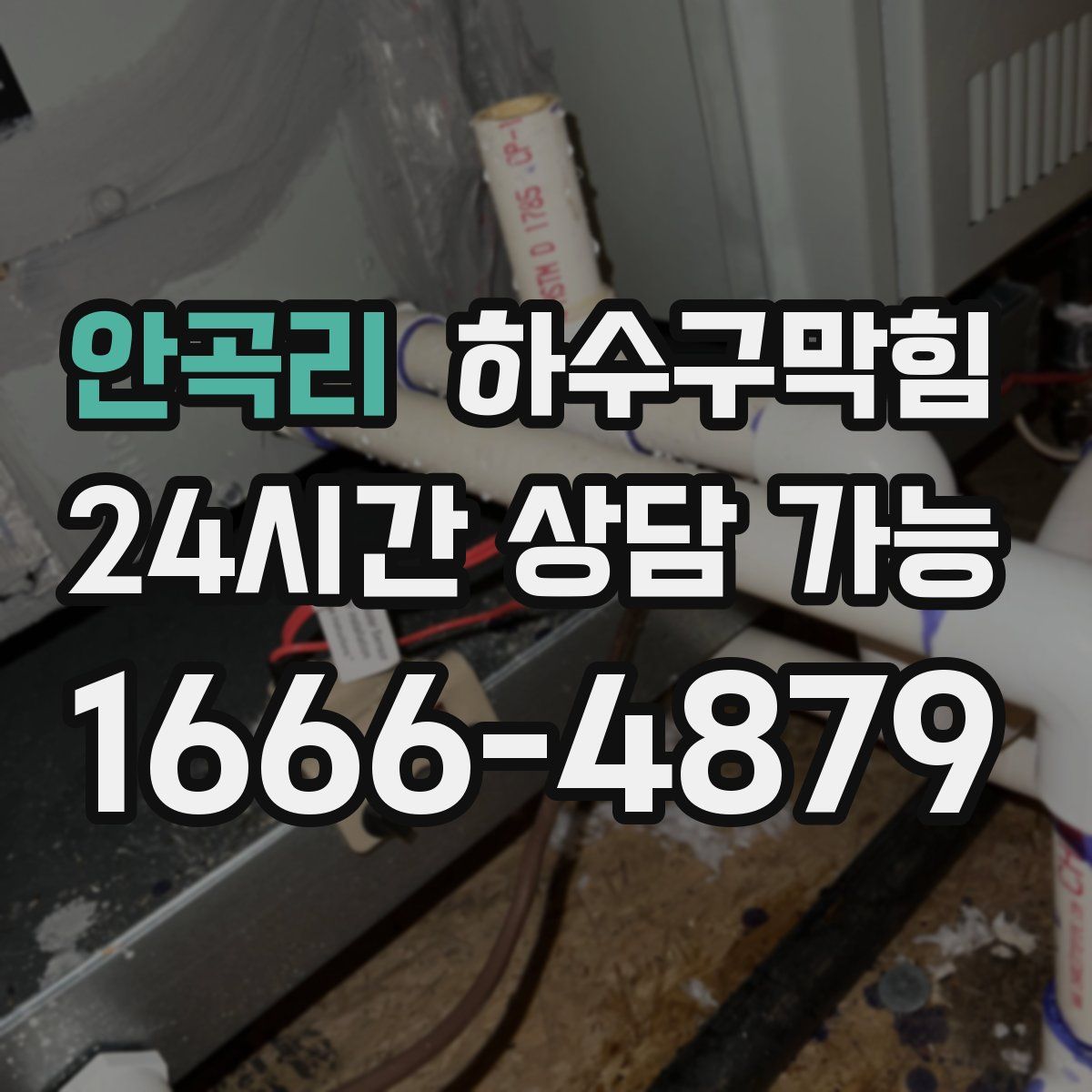 안곡리 하수구막힘