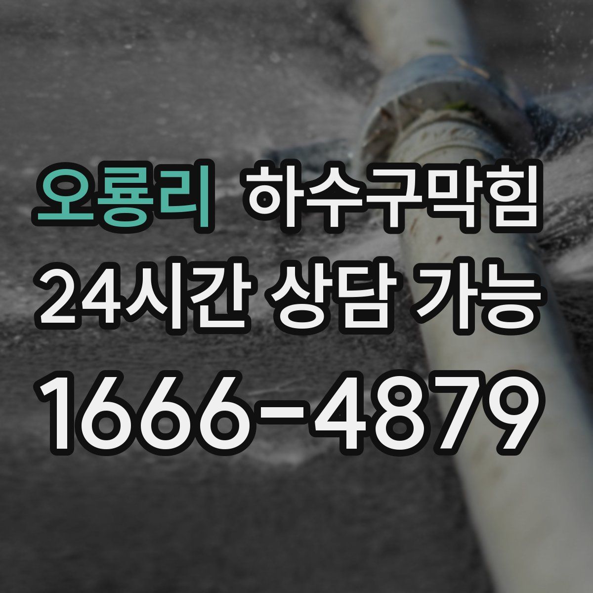 오룡리 하수구막힘