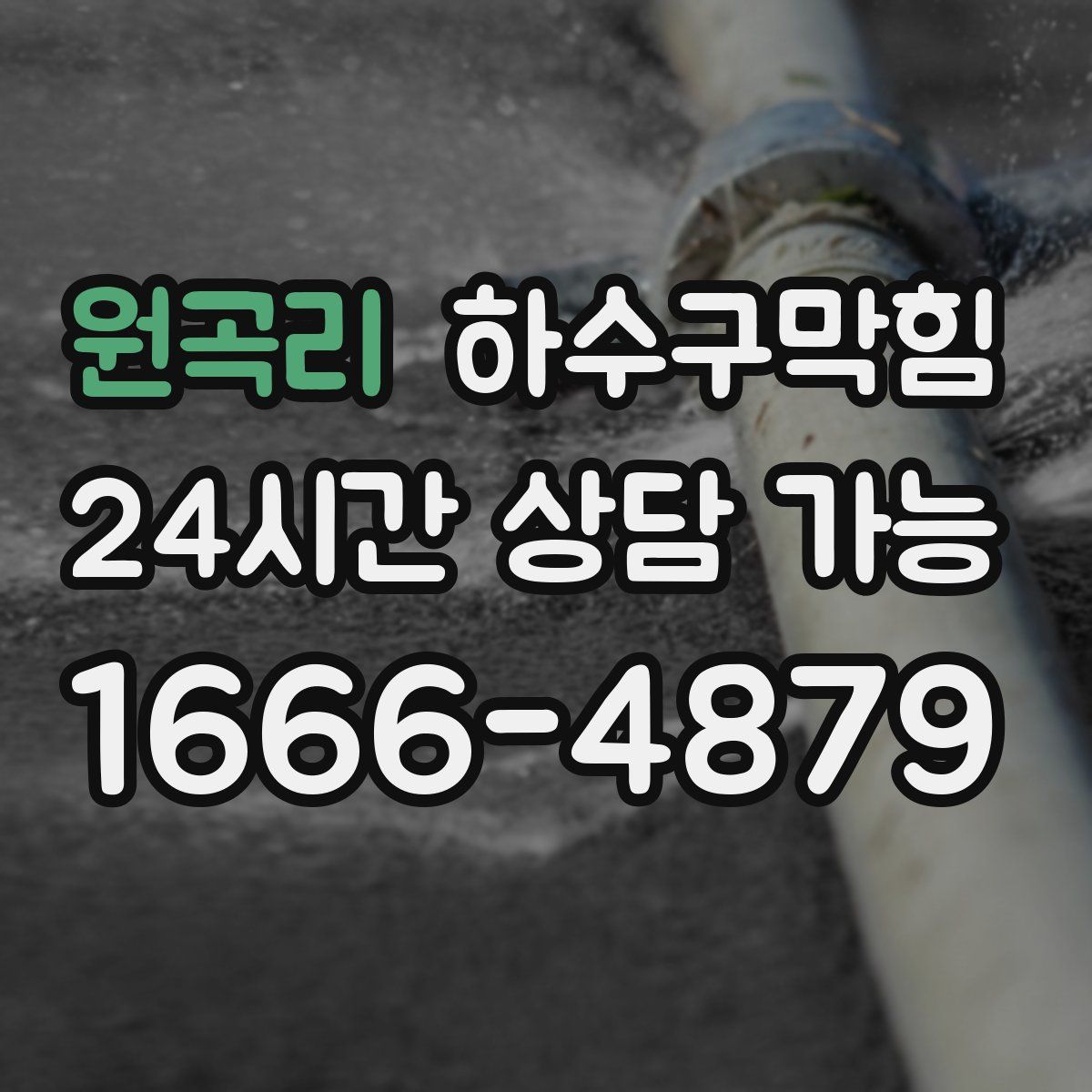 원곡리 하수구막힘