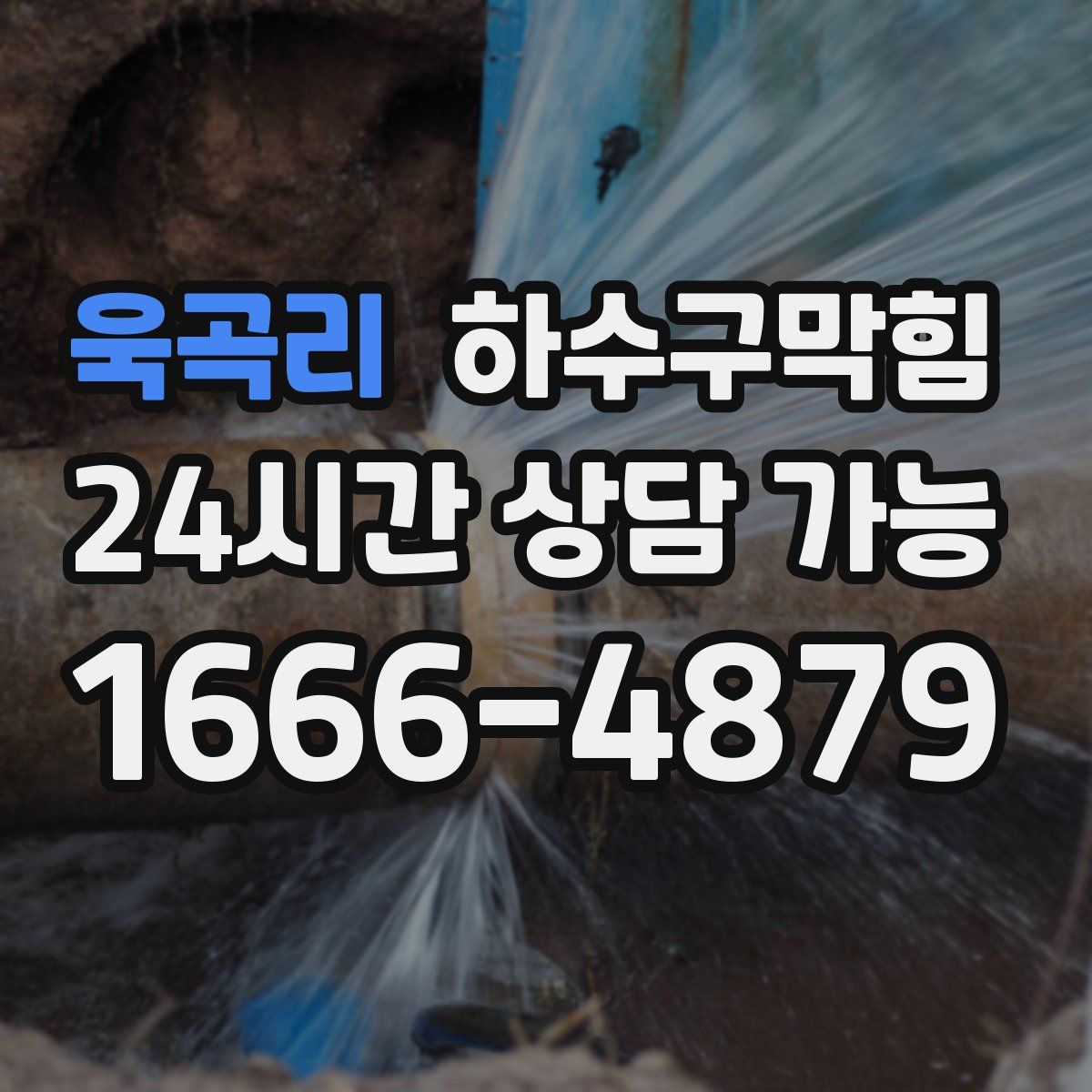 욱곡리 하수구막힘