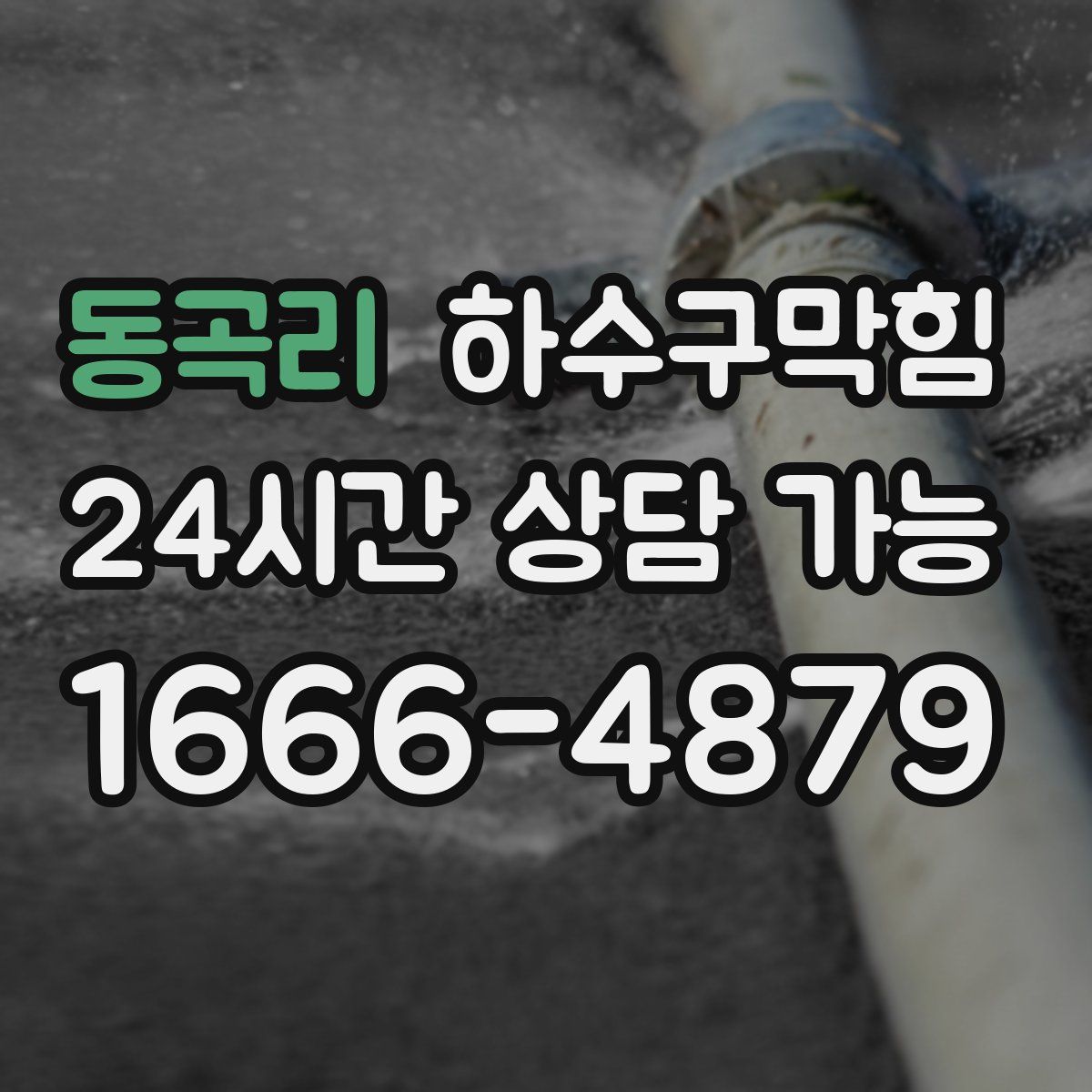 동곡리 하수구막힘