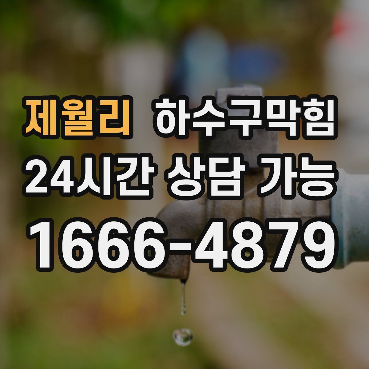 제월리 하수구막힘