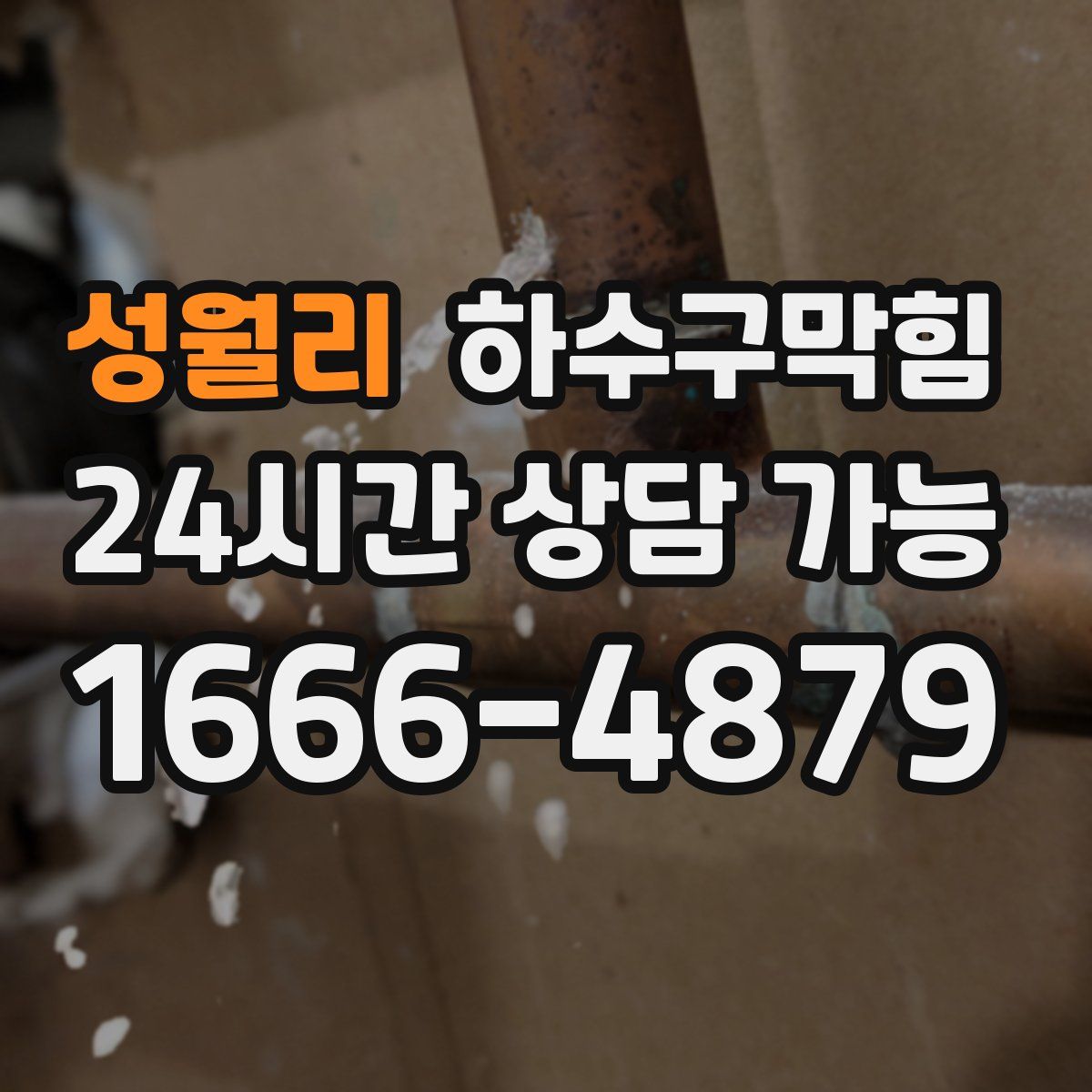 성월리 하수구막힘