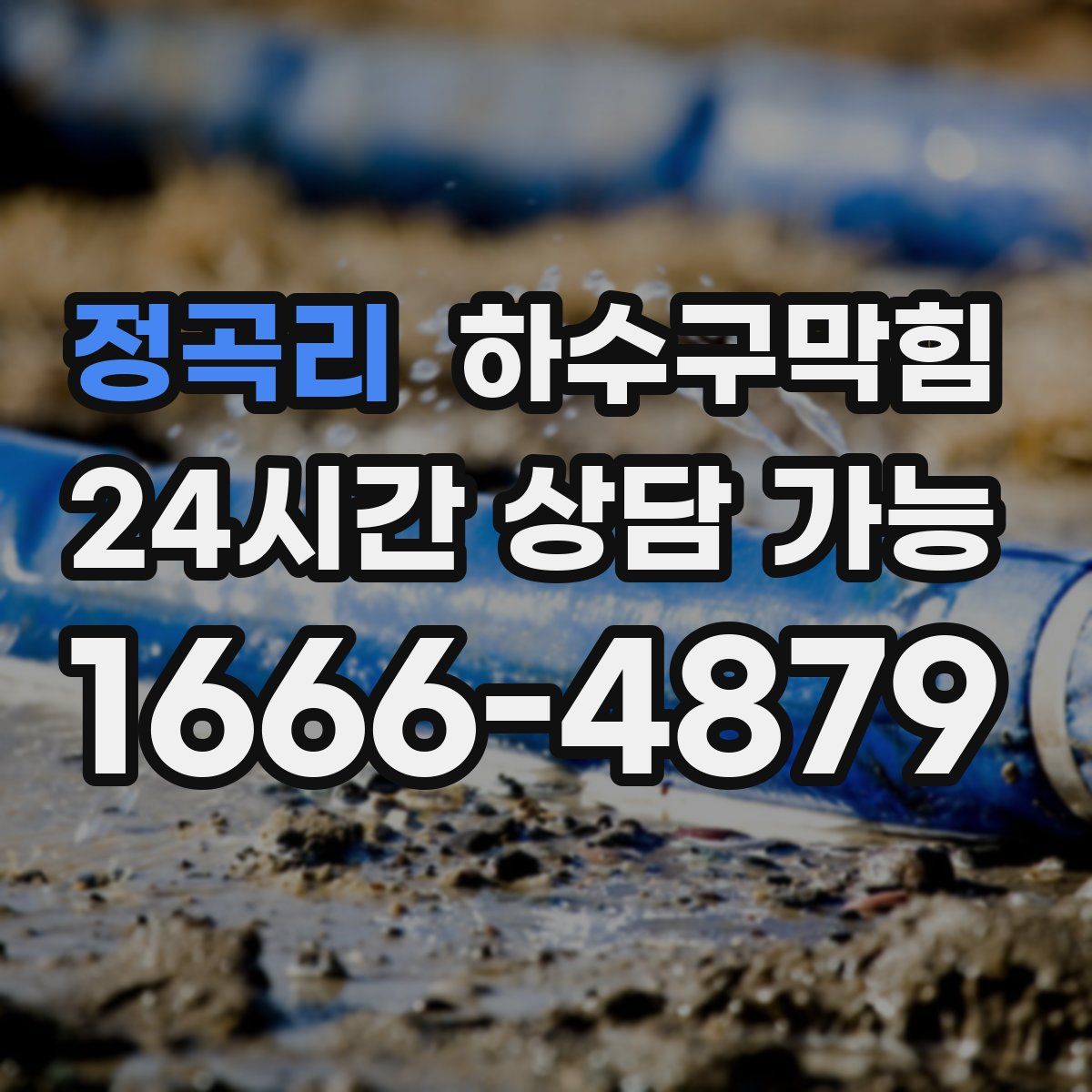 정곡리 하수구막힘