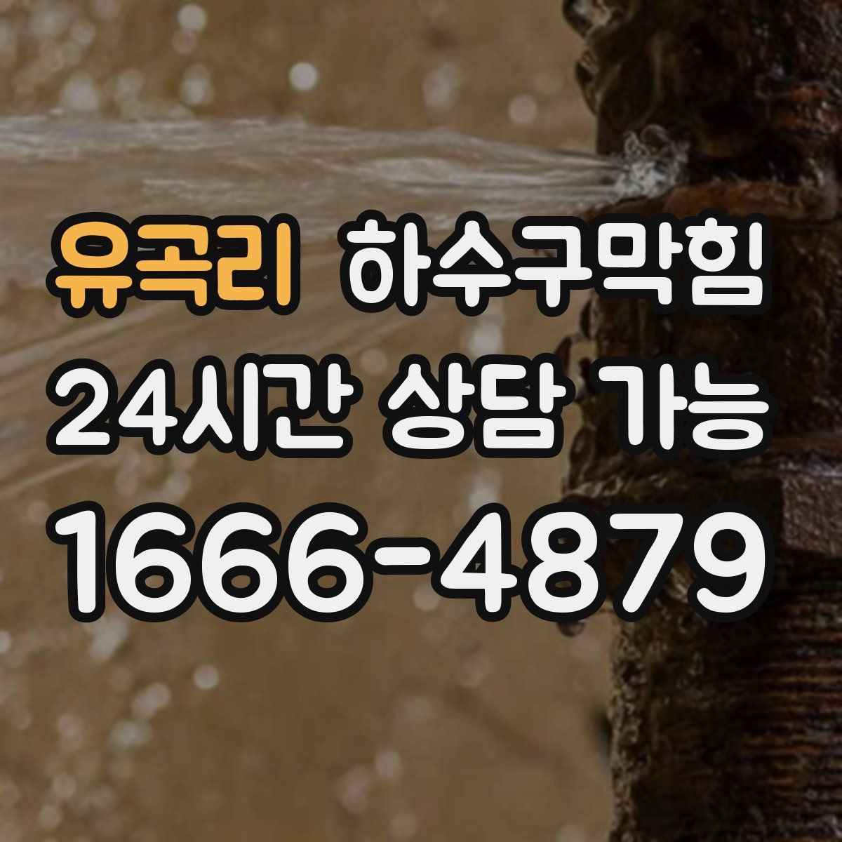 유곡리 하수구막힘