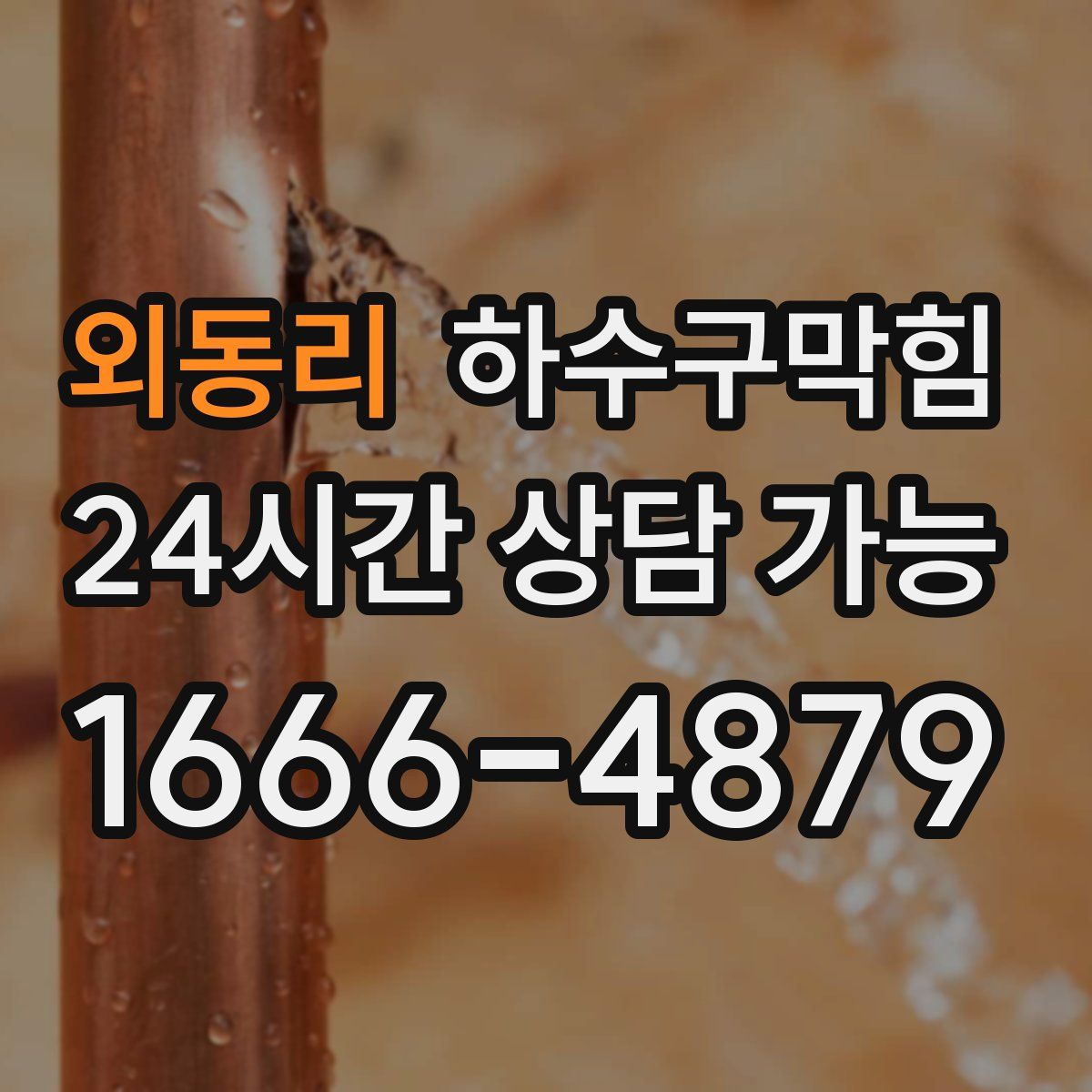 외동리 하수구막힘