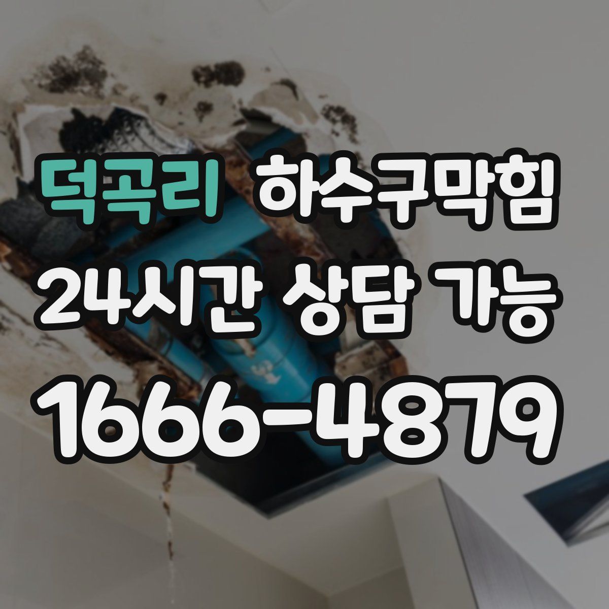 덕곡리 하수구막힘