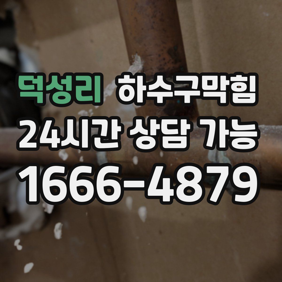 덕성리 하수구막힘