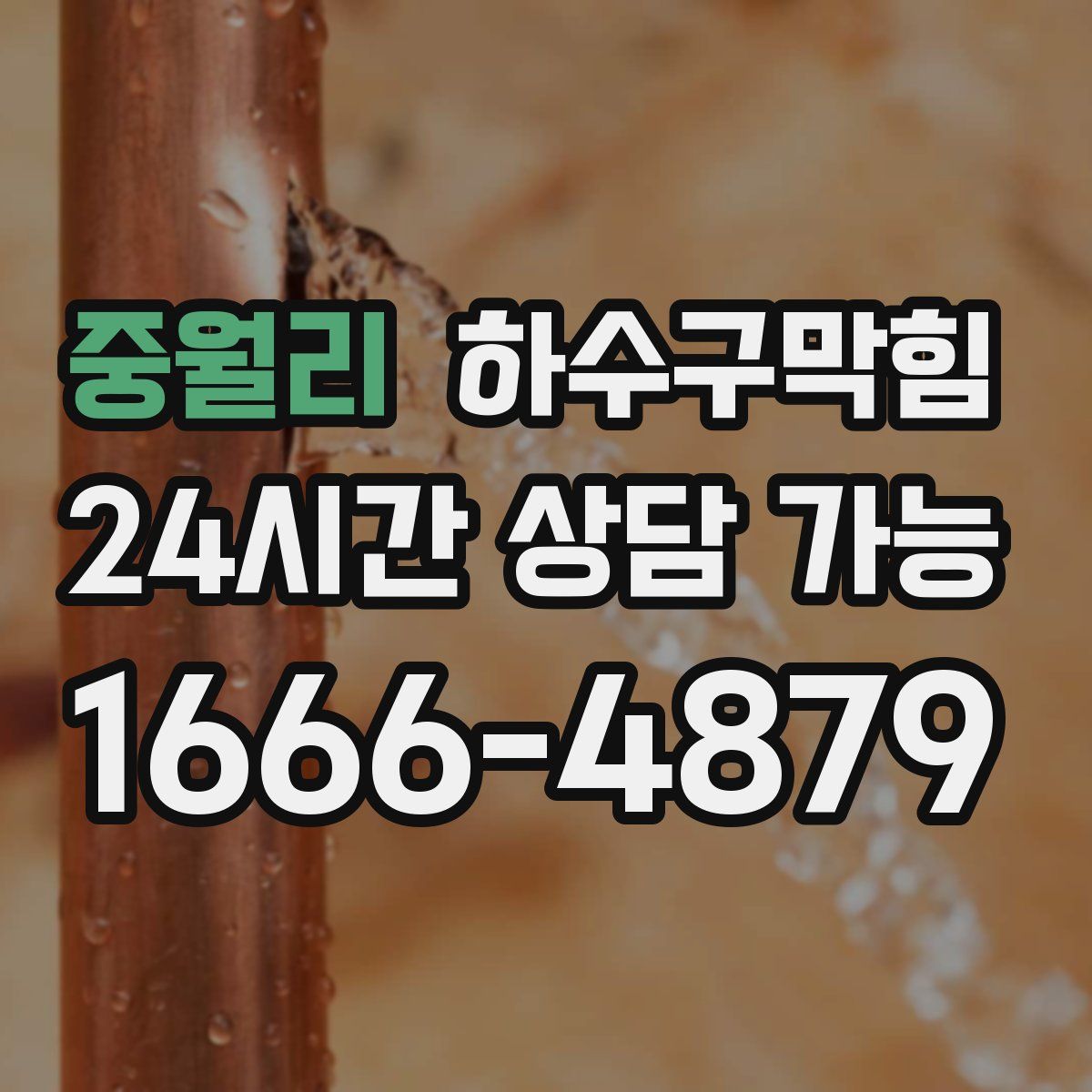 중월리 하수구막힘