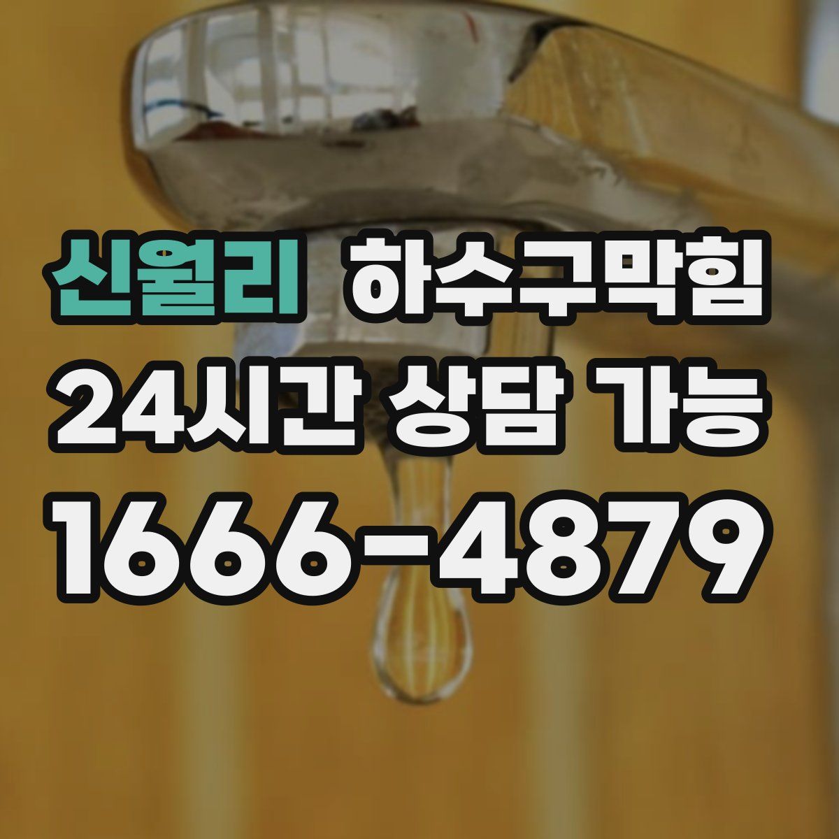 신월리 하수구막힘