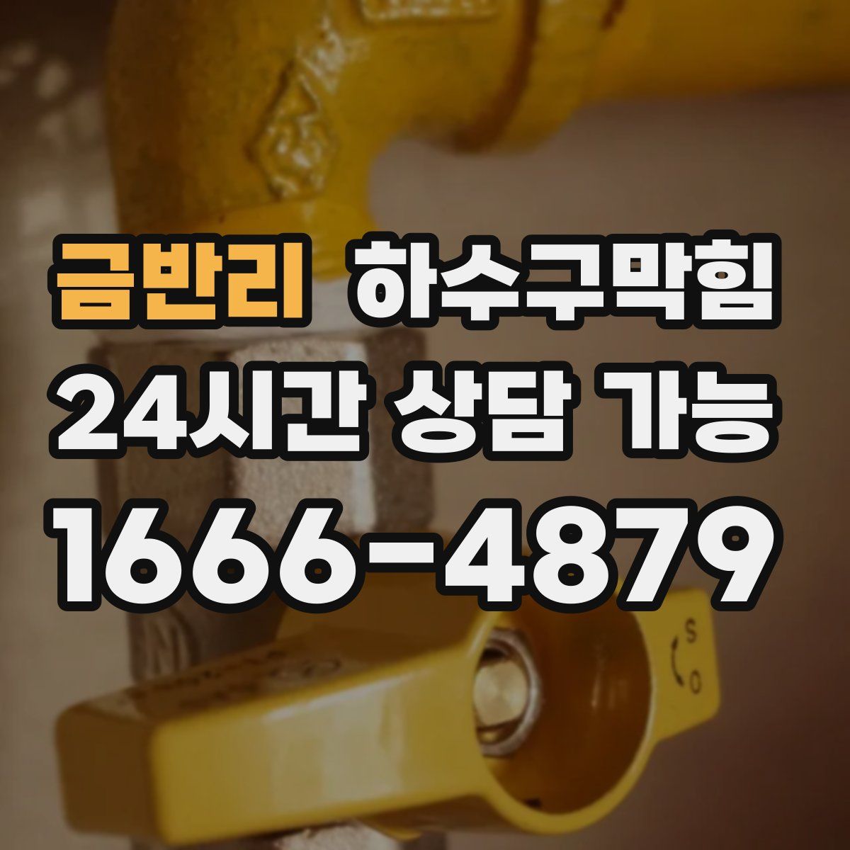 금반리 하수구막힘