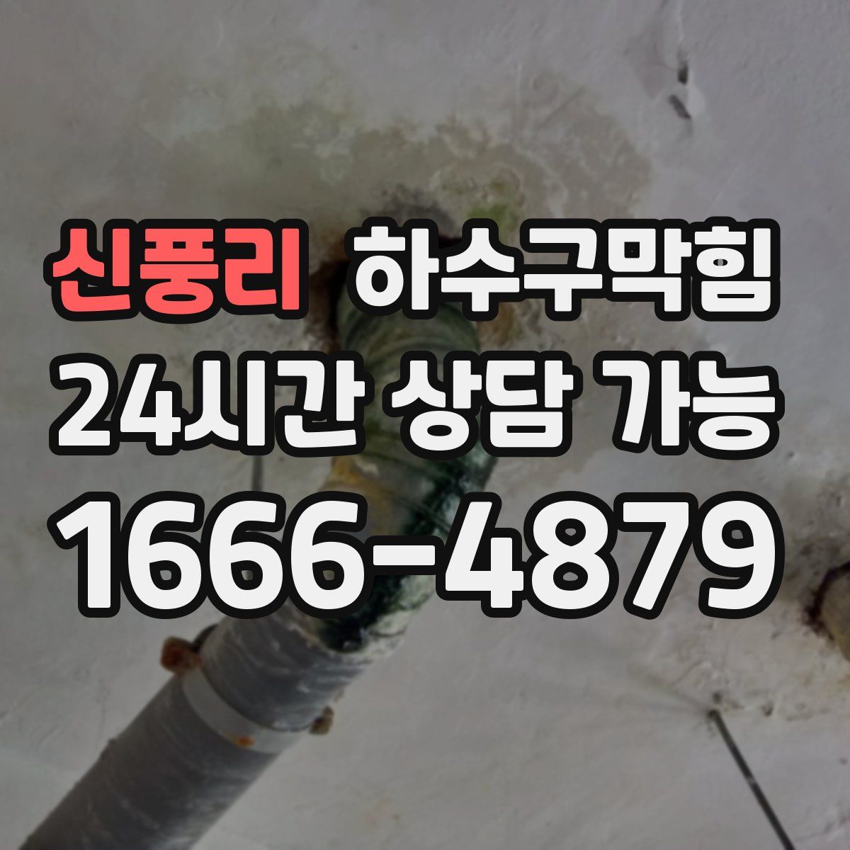 신풍리 하수구막힘