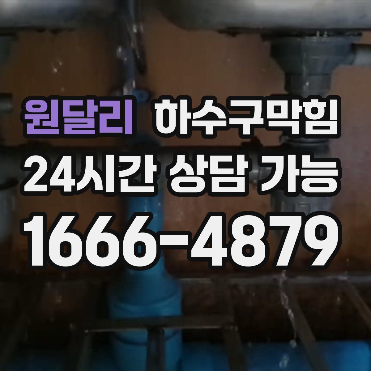 원달리 하수구막힘