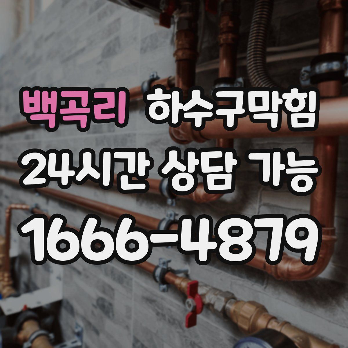 백곡리 하수구막힘