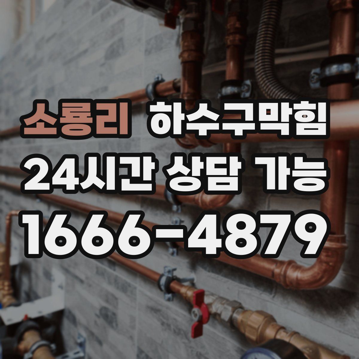 소룡리 하수구막힘