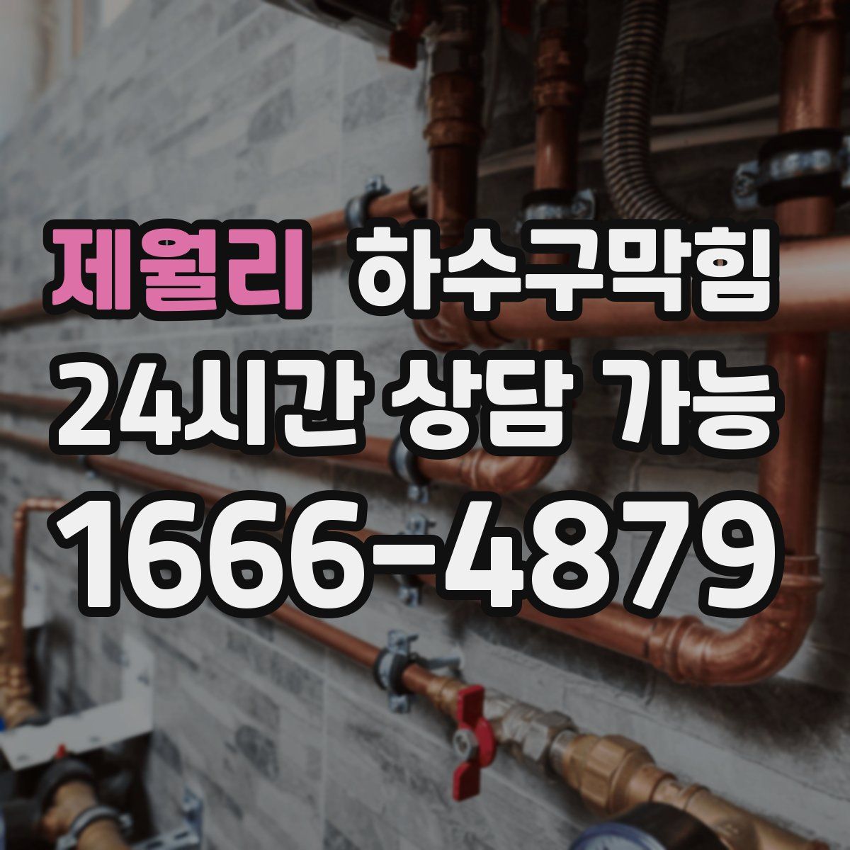 제월리 하수구막힘