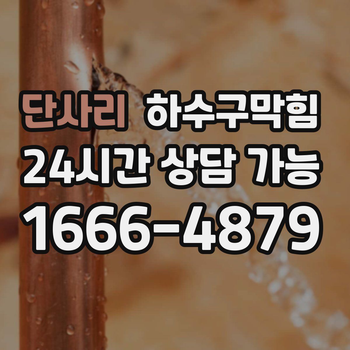 단사리 하수구막힘