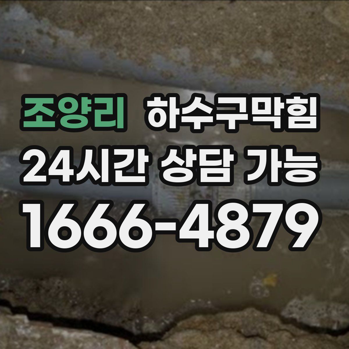 조양리 하수구막힘